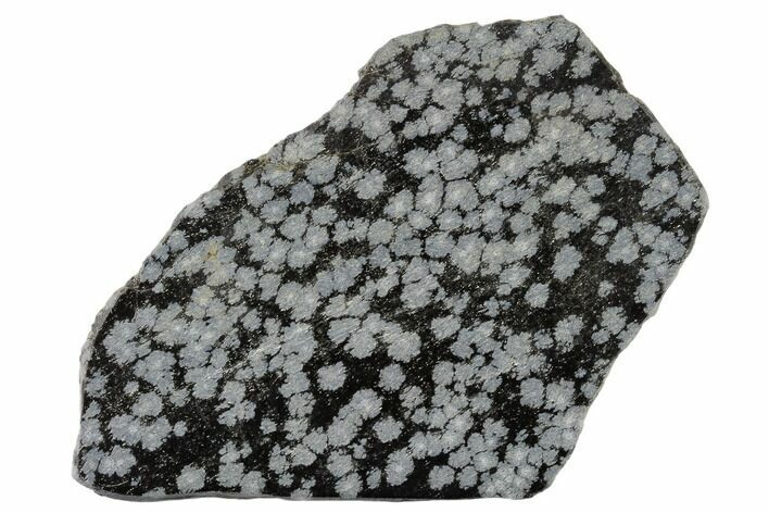 Polished Snowflake Obsidian Section - Utah #117783